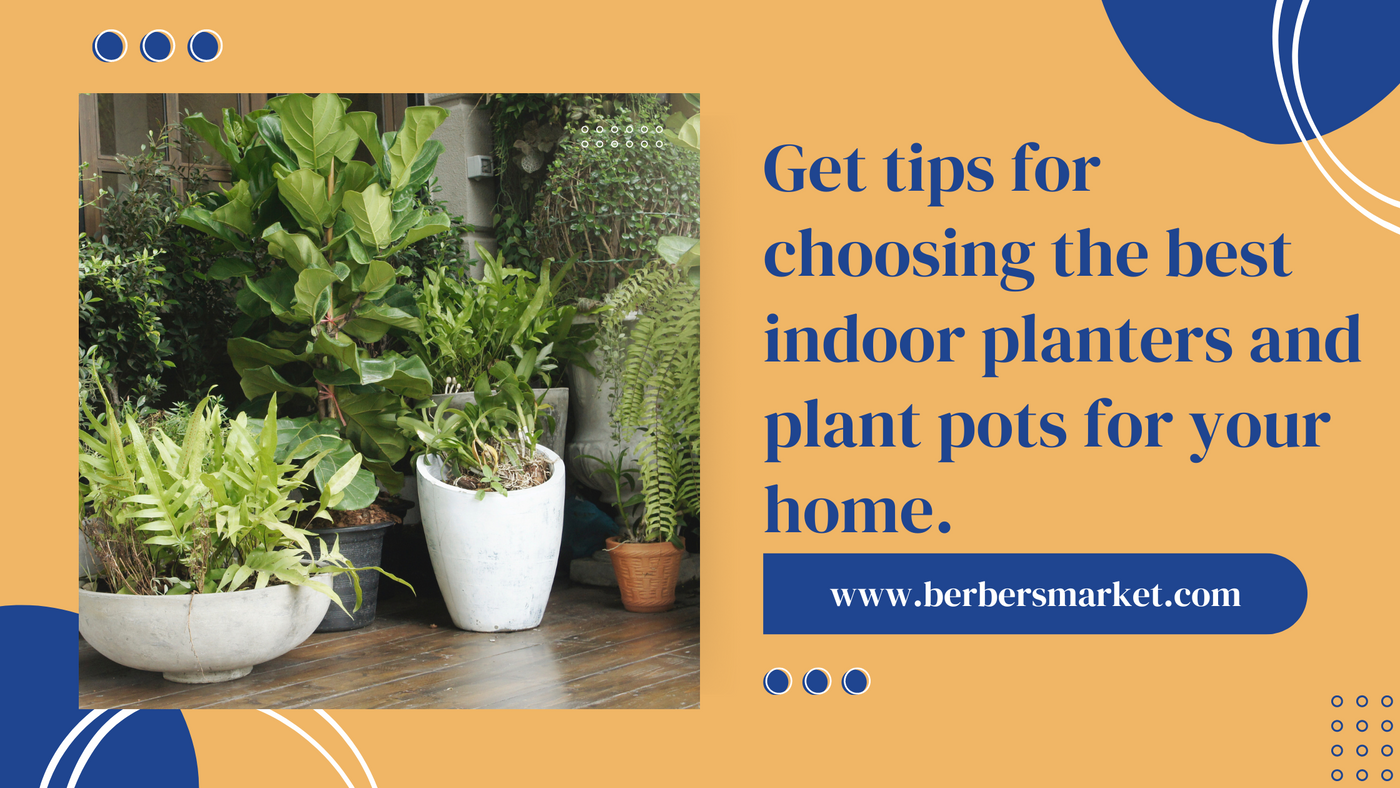 Get tips for choosing the best indoor planters and plant pots for your ...