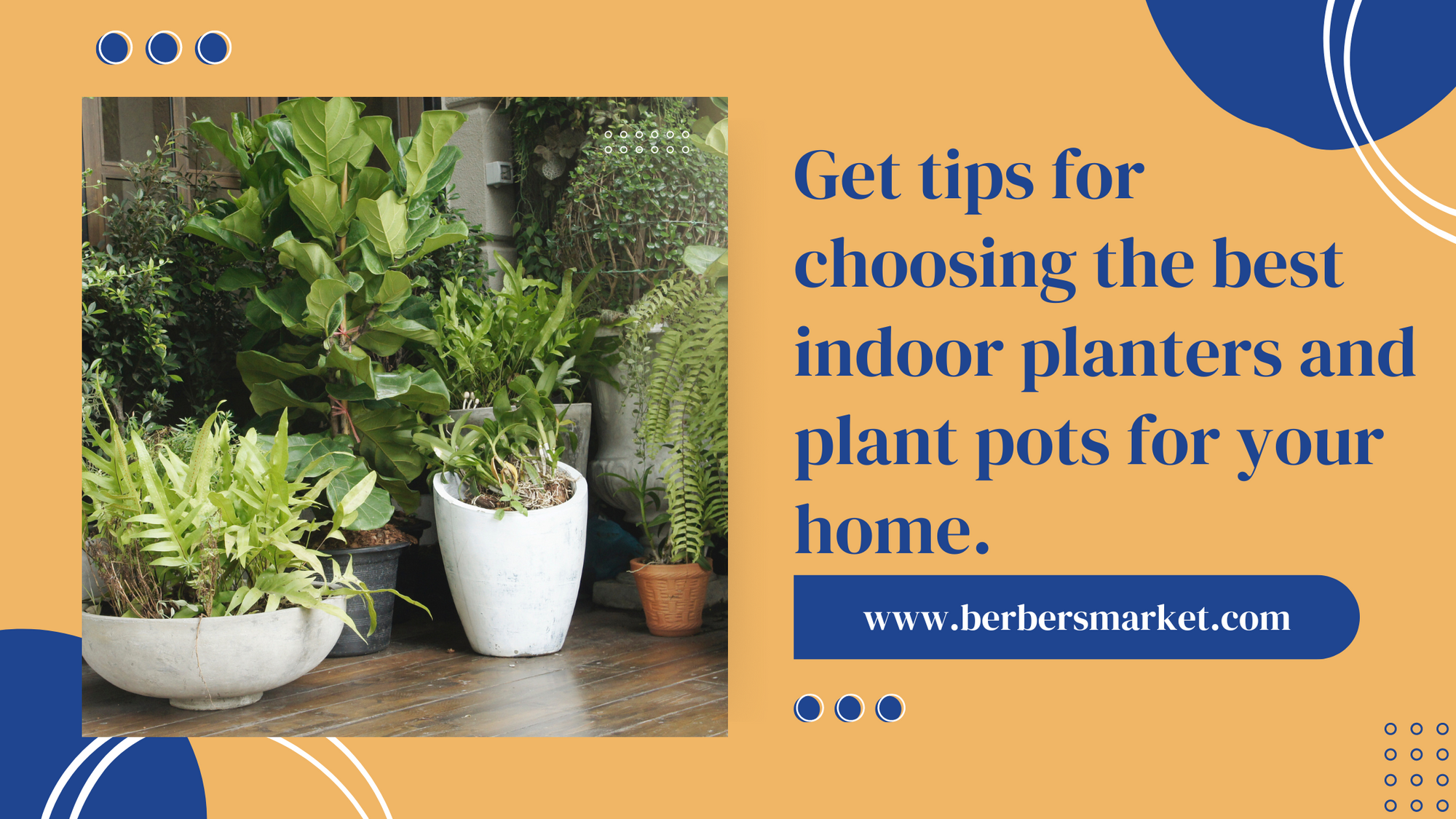 Get tips for choosing the best indoor planters and plant pots for your home.