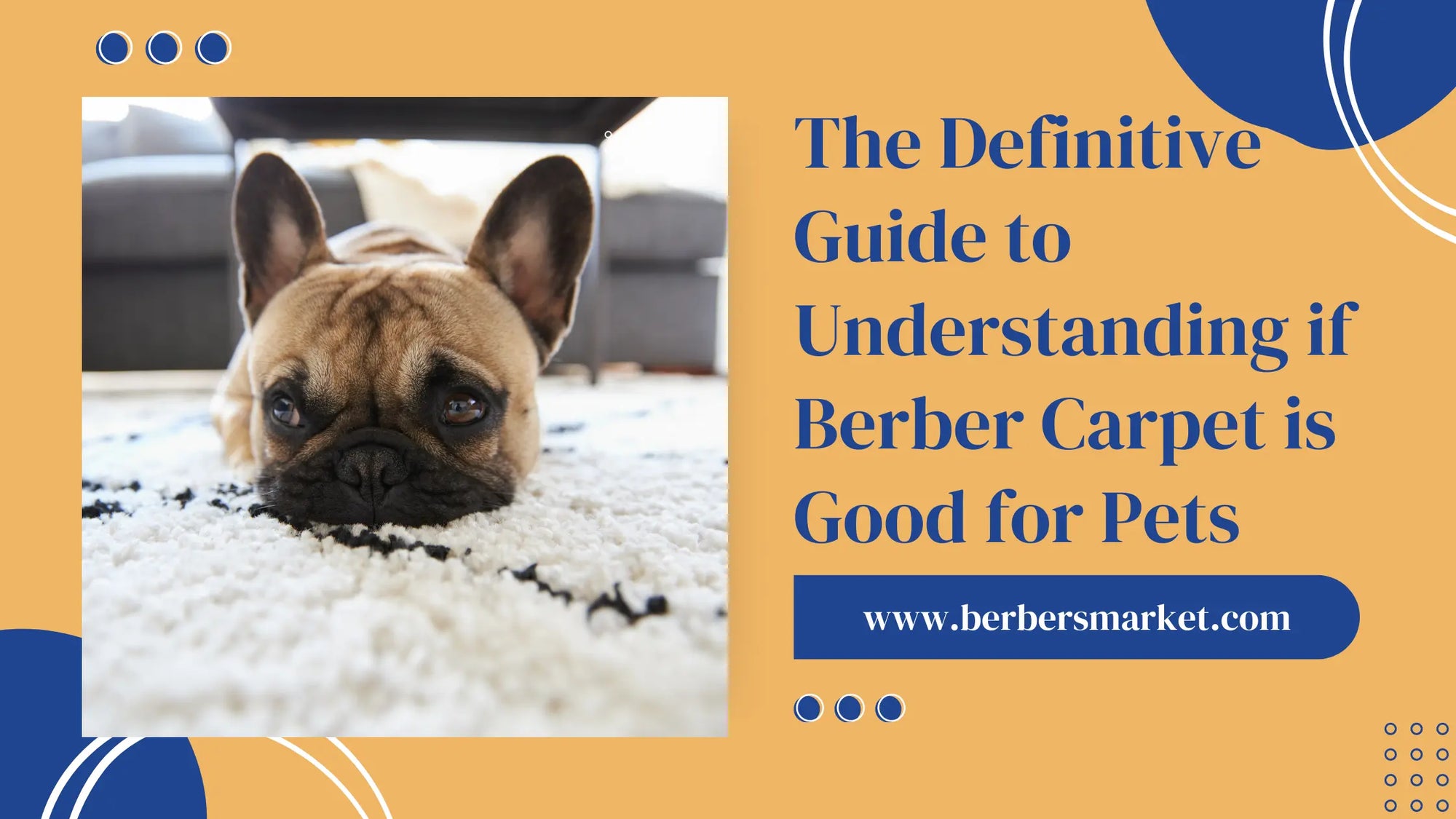 Blog banner for The Definitive Guide to Understanding if Berber Carpet is Good for Pets