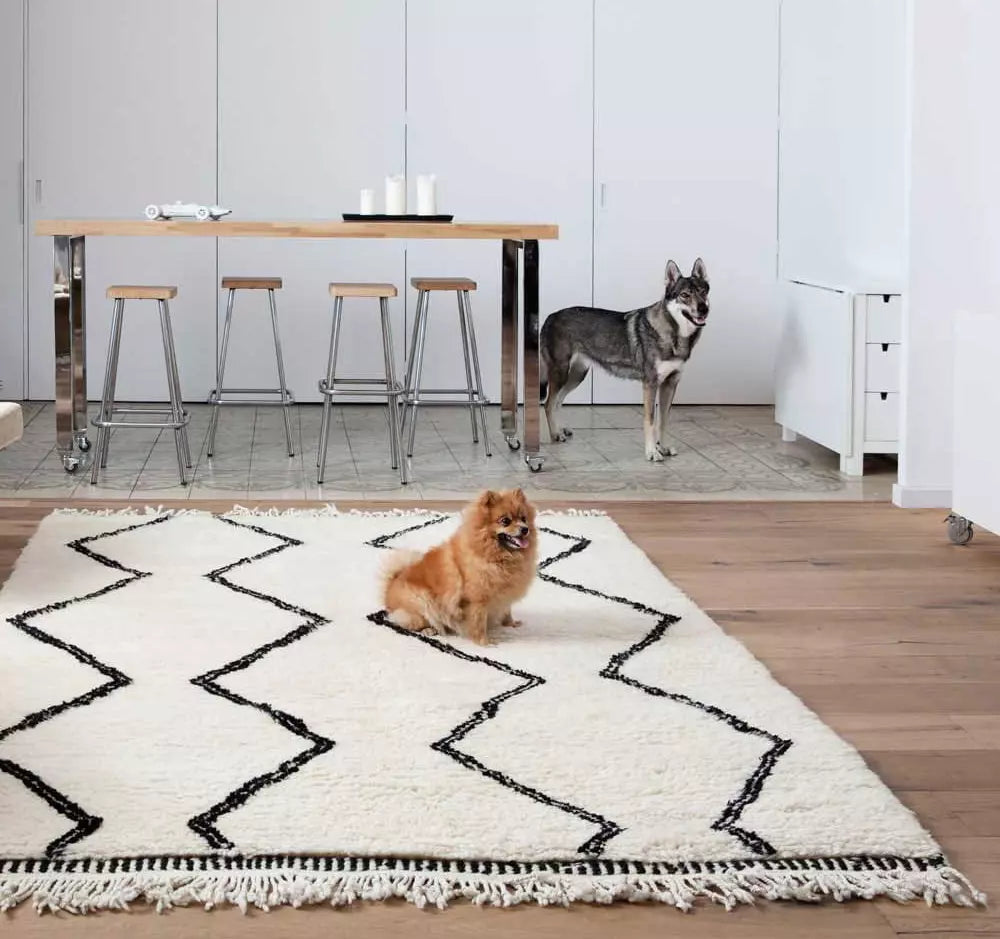 Black and white moroccan rug